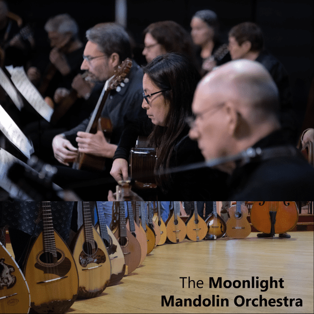 Moonlight Mandolin Orchestra